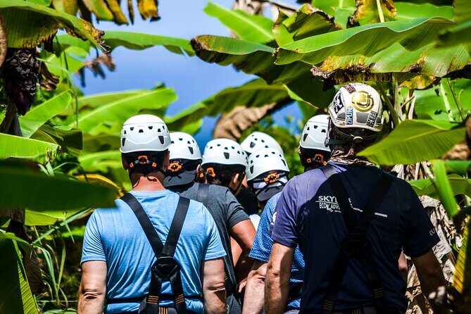 Big Island Zipline over KoleKole Falls - Key Points