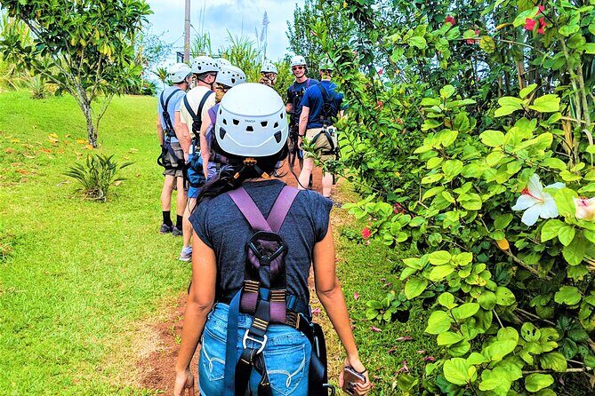 Big Island Zipline over KoleKole Falls w/ Hilo Cruise Ship Pickup - Final Thoughts