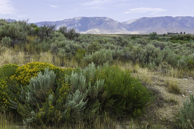 Big Sky Drive Self Guided Driving Audio Tour - Who Will Love This Tour?