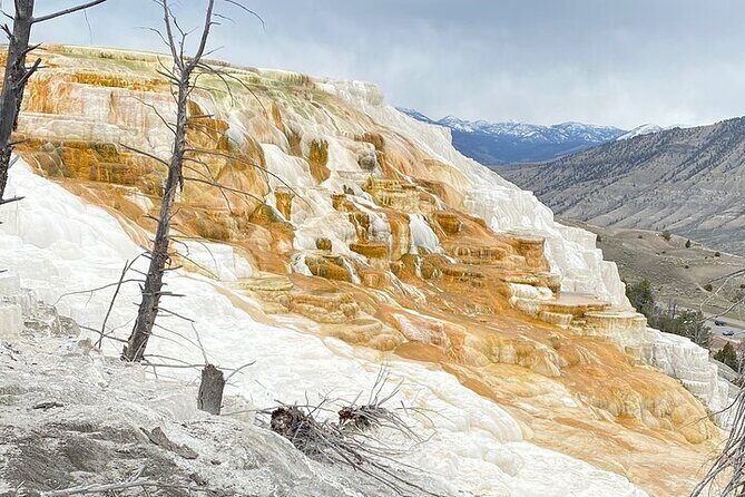 Big Sky Winter Wildlife Safari Lamar Valley Breakfast and Lunch - Authentic Wildlife Encounters and Expert Guidance