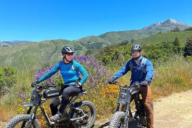 Big Sur Electric Bike Tour Along Old Coast Road - Who Will Love This Tour?