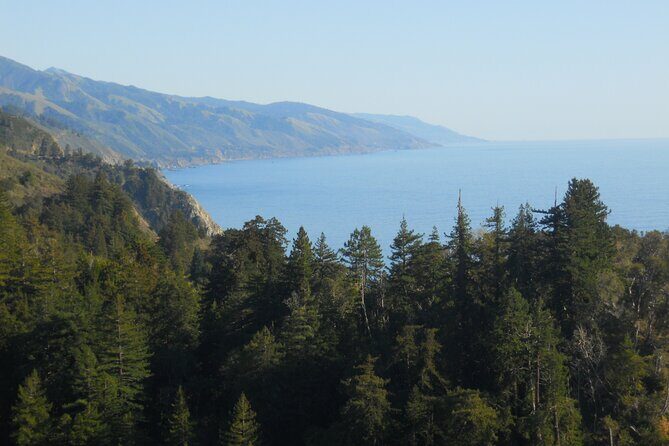 Big Sur Sightseeing Tour - Exploring the Big Sur Sightseeing Tour: What You Can Expect