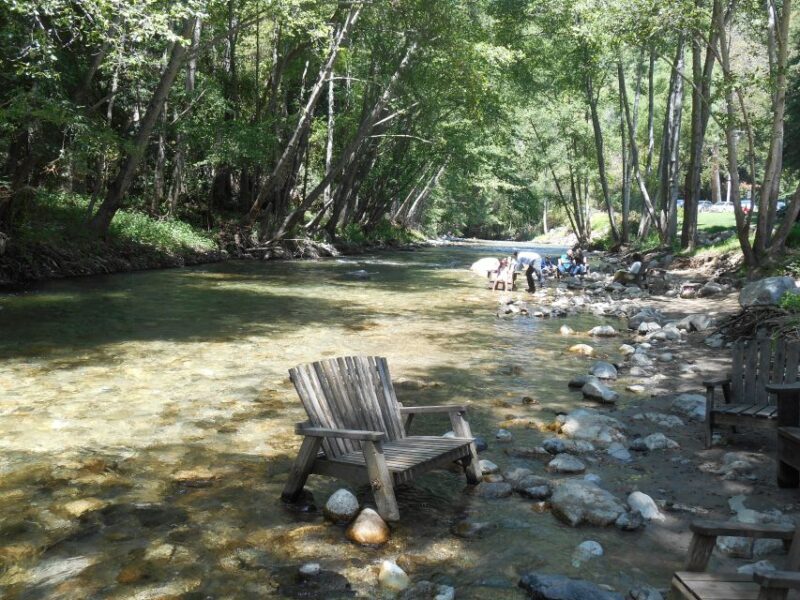 Big Sur: Sightseeing Tour with 4 to 5 Stops - Final Words