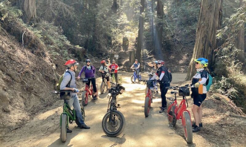 Big Sur's Old Coast Road E-Bike Tour - Detailed Review of the Big Surs Old Coast Road E-Bike Tour