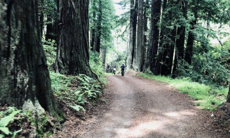 Big Sur's Old Coast Road E-Bike Tour - FAQ