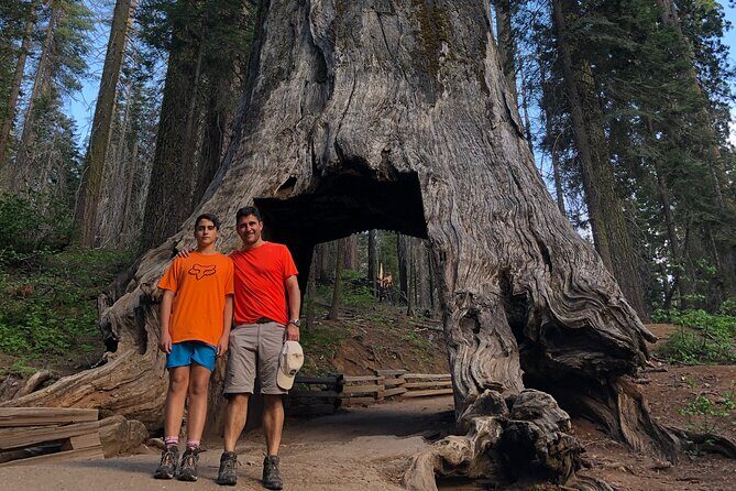 Big Trees Hike & Riverside Cookout Adventure - A Deep Dive into the Yosemite Giant Sequoias & Riverside Adventure