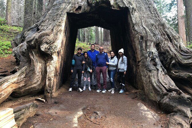 Big Trees Hike & Riverside Cookout Adventure - Final Thoughts: Who Will Love This?