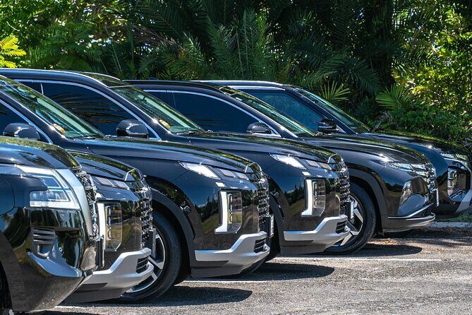 Biggvee Premium Airport One Way Transfer - The Value of This Transfer