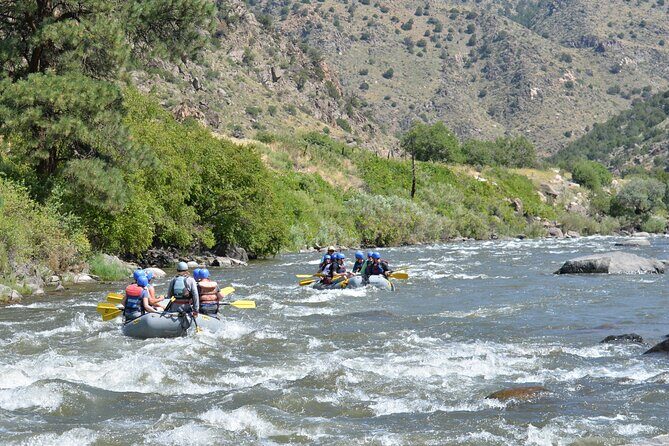 Bighorn Sheep Canyon Half Day Beginner Whitewater Rafting Tour - A Detailed Look at the Bighorn Sheep Canyon Experience