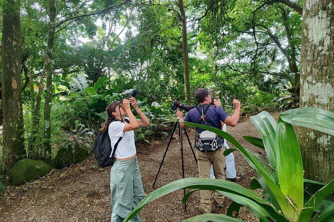 Bijagua Upala Rainforest, Trails, Sloths, Birds and others - Exploring the Tour in Detail