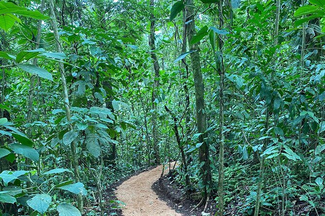 Bijagua Upala Rainforest, Trails, Sloths, Birds and others - FAQ