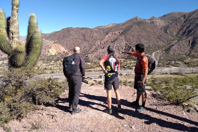 Bike Adventure through Juella with lunch - A Deep Dive into the Juella Cycling Tour