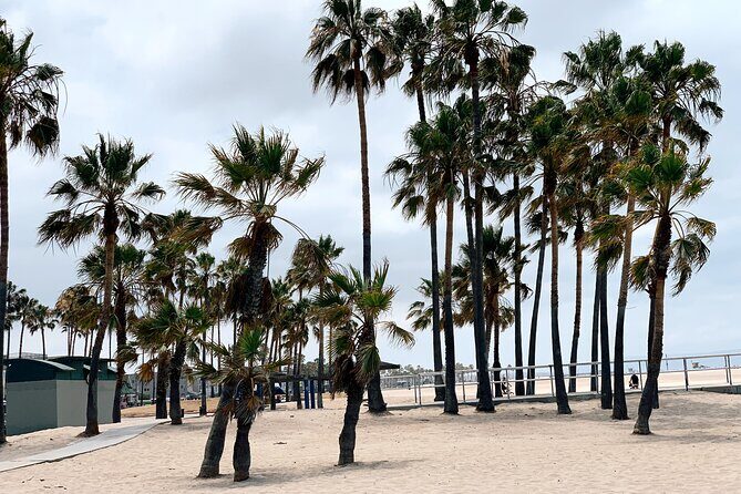 Bike Adventure Tour in Beverly Hills, Santa Monica and Venice - Final Thoughts