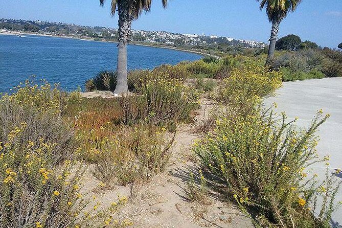 Bike Around San Diego Bay to the Ocean - FAQ