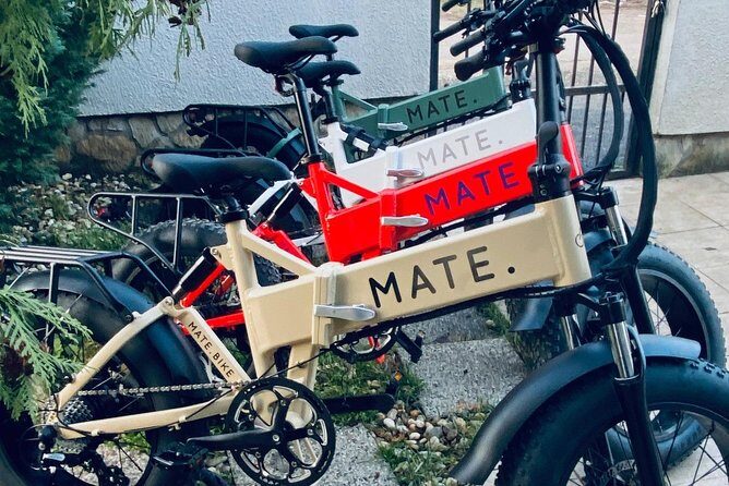 Bike, Boat & Gear Rental - Final Thoughts