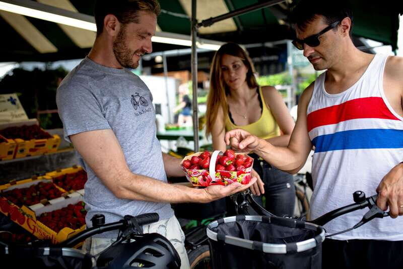 Bike/E-bike tour Plateau,MileEnd, Jean-Talon Market by Fitz - Authenticity and Value
