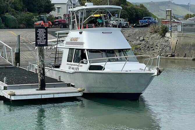 Bike Ferry Port Chalmers to Quarantine Island and Portobello, - Who Should Consider This Experience?