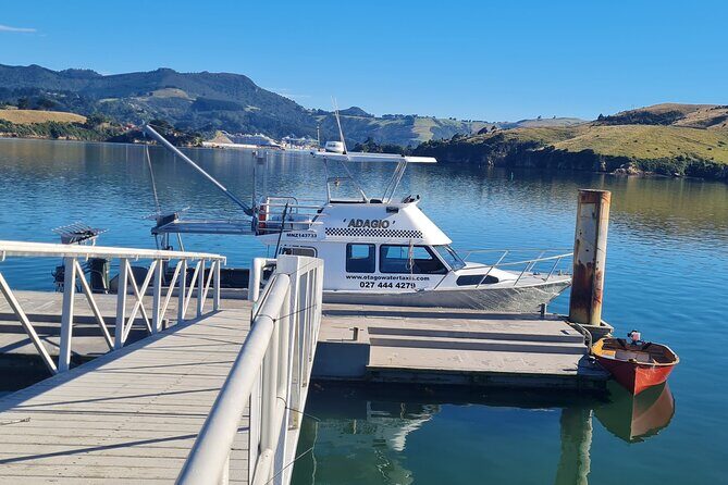 Bike Ferry Portobello to Port Chalmers and Quarantine Island - Bike Ferry from Portobello to Port Chalmers and Quarantine Island — A Practical Guide