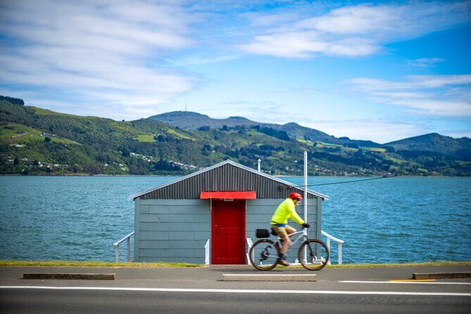 Bike Ferry Portobello to Port Chalmers and Quarantine Island - Who Should Consider This Experience?