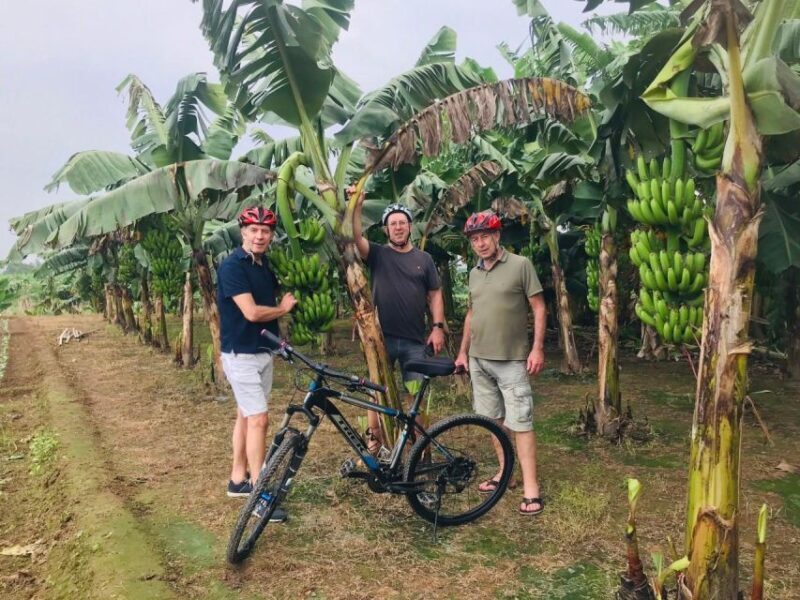 Bike / Motobike Tour Through Hidden Gems and Banana Island - FAQ