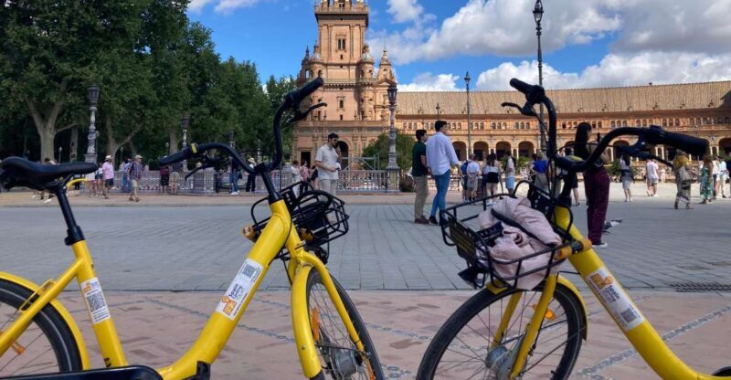 Bike rental 1 day - Key Points