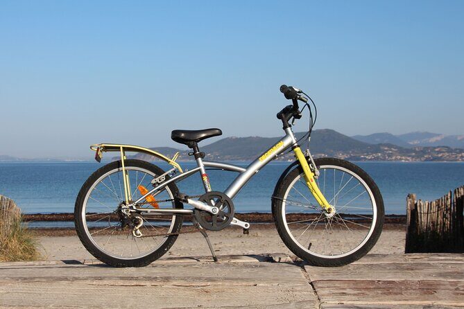 Bike rental for the whole family in Hyères - Bike Rental for the Whole Family in Hyères: A Practical and Enjoyable Way to Explore the French Riviera