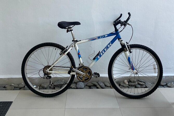 Bike Rental in Isla Mujeres - Who Will Love This Experience?