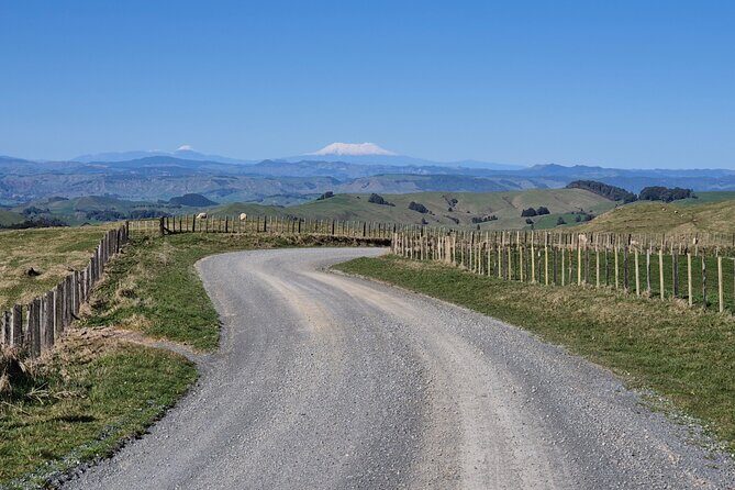 Bike Rental in Waitomo Caves - In-Depth Review: What You Can Expect from This E-Bike Tour