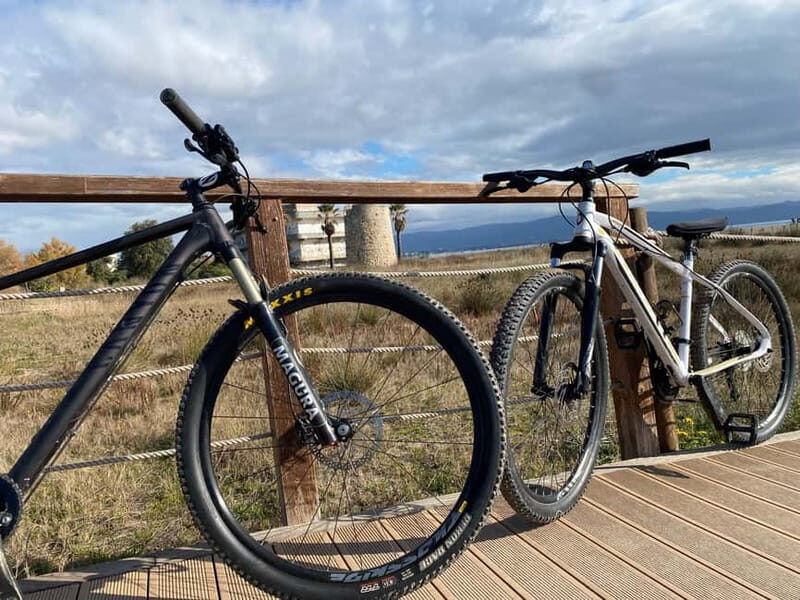 Bike rental: Port of Cagliari, Su Siccu, Nervi Park, Molentargius - Who Would Love This?