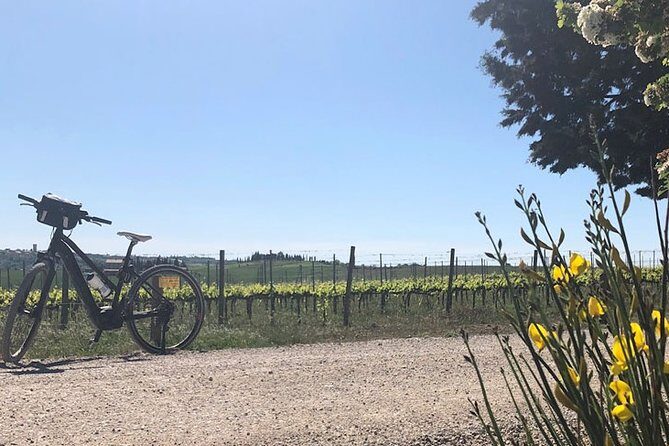 Bike Ride immersion val d'Orcia - FAQ: Practical Questions about the Val dOrcia Bike Tour