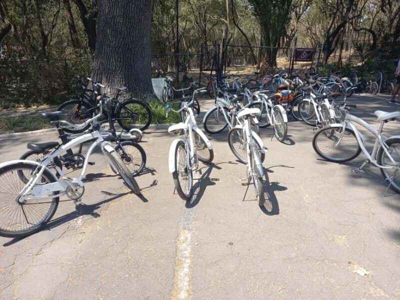 BIKE RIDE THROUGH ICONIC SITES OF THE CDMX / BREAKFAST & BEER - Exploring the Tour in Detail