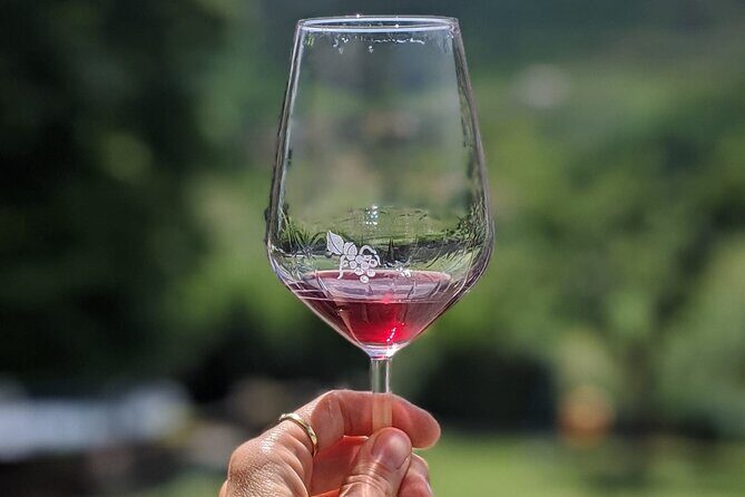 Bike Ride & WIne Tasting - Exploring the Lucca Countryside by Bike and Taste