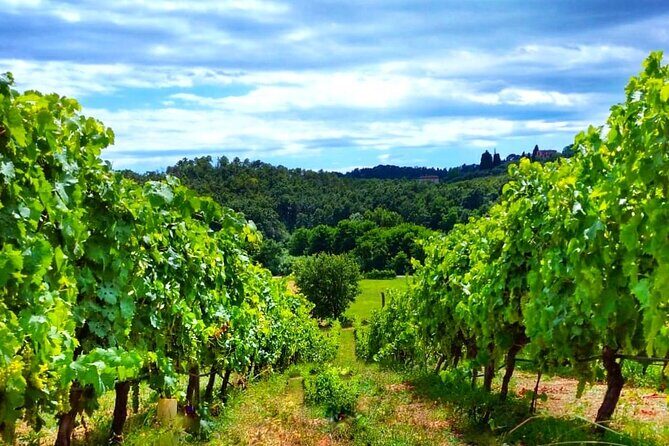 Bike Ride & WIne Tasting - The Itinerary in Detail