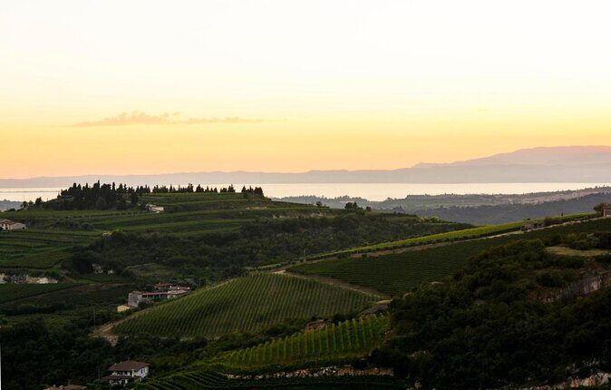 Bike Station Valpolicella: E-bike tour & Amarone Tasting - Key Points