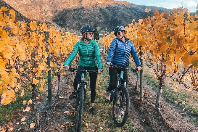 Bike The Wineries (3/4 Day) - Ride Through Queenstown Vineyards - Key Points