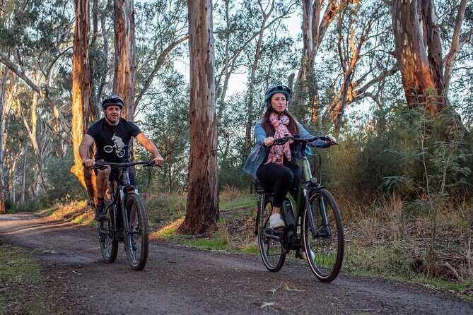 Bike to Winery Tour - Who Is This Tour Perfect For?
