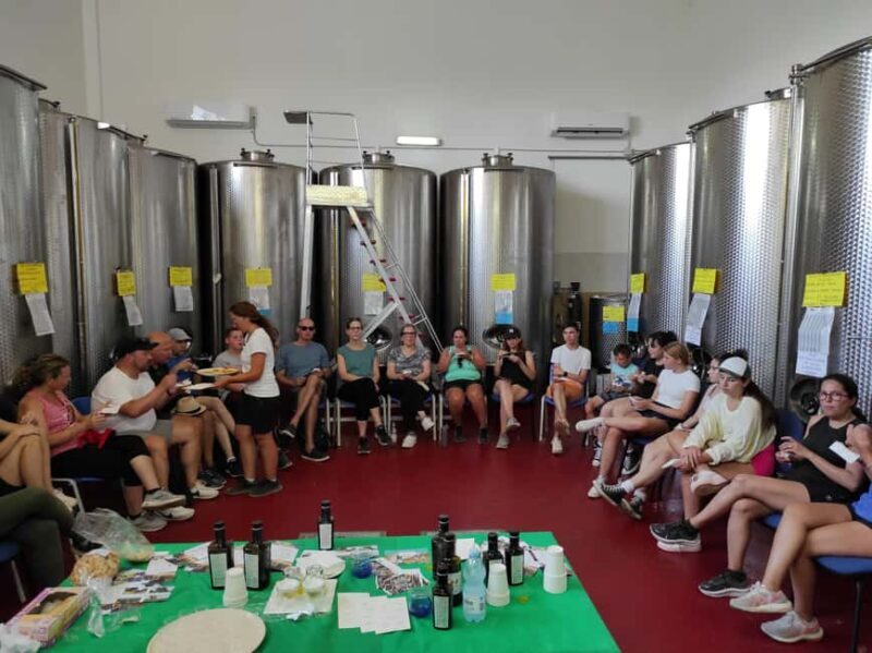 Bike Tour among the Ancient Olive Trees with EVO Oil Tasting - Key Points