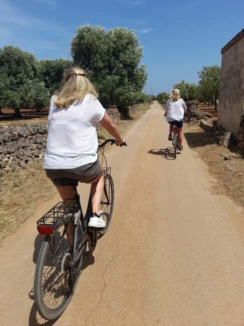 Bike Tour among the Ancient Olive Trees with EVO Oil Tasting - Who Will Love This Tour?