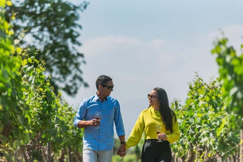 Bike Tour at Cousiño Macul & Visit to the Baha'i Temple - Key Points