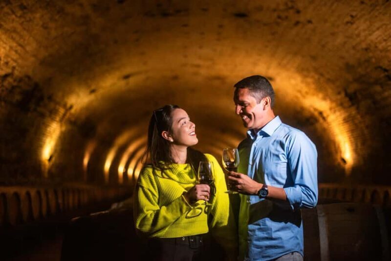 Bike Tour at Cousiño Macul & Visit to the Baha'i Temple - The Value of This Tour