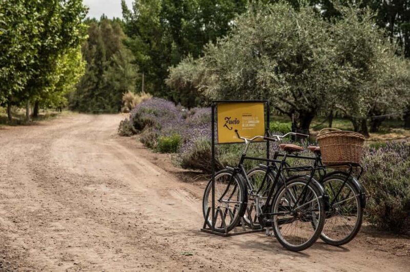 Bike Tour at Zuccardi: Olive Oil, Wine Tasting & Lunch - The Value of This Tour