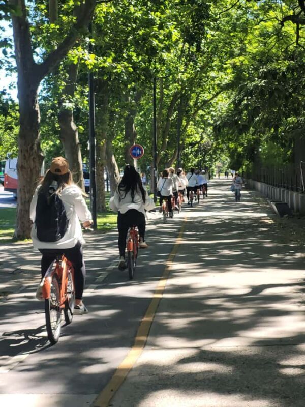 Bike Tour: Buenos Aires to the North (E-Bike) - Final Thoughts