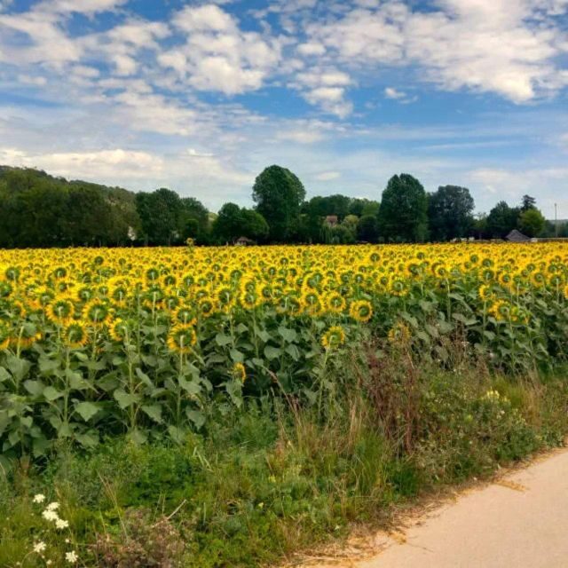 Bike tour from Vernon to Giverny with local guide - The historical significance of Normandy