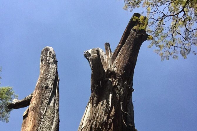 Bike Tour in Mexico City - FAQ