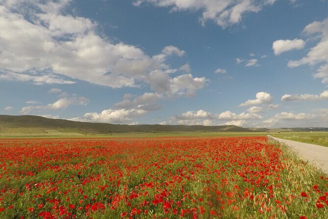 Bike Tour in the Alta Murgia National Park (Pulo of Altamura) - The Sum Up