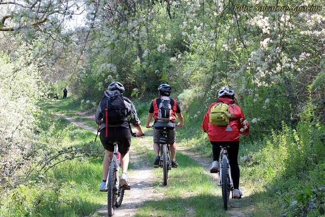 Bike Tour into the nature around Castel del Monte - A Detailed Look at the Tour Experience