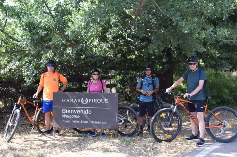 Bike & Wine Adventure in the Andes Mountains Pedal and Tast - Key Points