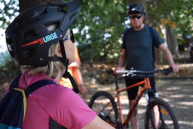 Bike & Wine Adventure in the Andes Mountains Pedal and Tast - Vineyard and Winery Tour