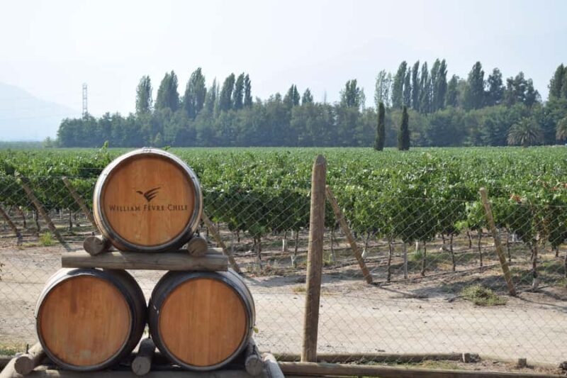 Bike & Wine Adventure in the Andes Mountains Pedal and Tast - Final Thoughts