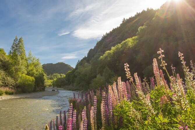 Bike & Wine Tour: Arrowtown to Valley of the Vines - Practical Details & Tips